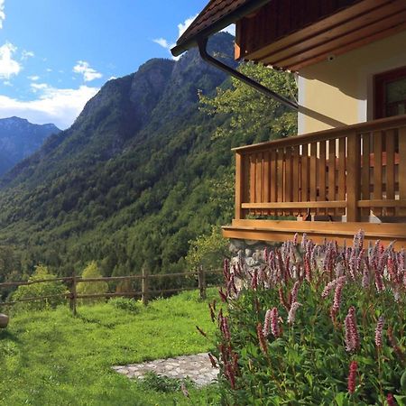 Zadnjica Holiday House Soča Εξωτερικό φωτογραφία