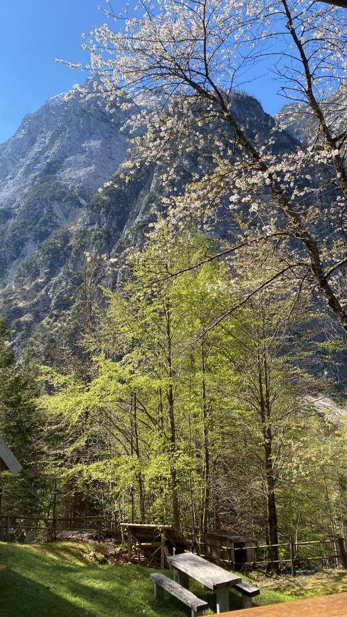 Zadnjica Holiday House Soča Εξωτερικό φωτογραφία