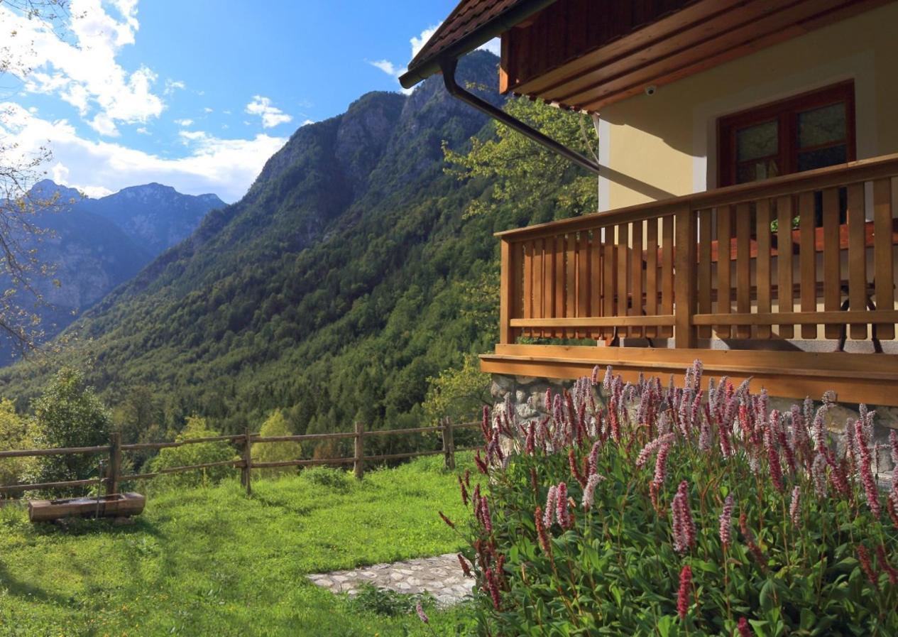 Zadnjica Holiday House Soča Εξωτερικό φωτογραφία